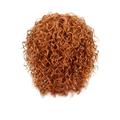 Abkekeiui Curly Wigs Medium Soft Deep Wig Wig Long 10 For Women Curly Hair Heat Length Curly Wigs To Fiber Wigs Brown Blonde Small