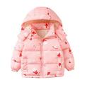 Toddler Boys Girls Cute Coat Winter Children Kids Long Sleeve Cartoon Pattern Hoodie Zip Up Keep Warm Jackets For Boys Girls Size 2-3T