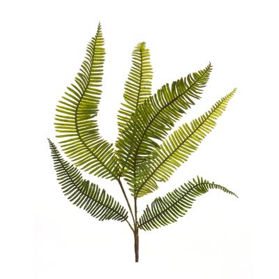 Varigated Fern Foliage Spray (Set Of 6) by Melrose in Green