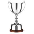 Swatkins Personalised Classic Nickel Plated Presentation Cup - Enter Your Own Custom Text (Cup Only)