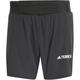 ADIDAS Herren Shorts Terrex Techrock Pro Trail, Größe S in Grau