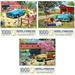 Bits and Pieces - YPF5 Value Set of Three (3) Jigsaw Puzzles for Adults - Puzzles Measures 20 x 27 - pc A Stop at the Stables T Bird Summer Our Favorite Spot Jigsaws by Kevin Walsh