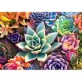 Buffalo Games - Simple YPF5 Succulents - 300 Large Piece Jigsaw Puzzle for Adults Challenging Puzzle Perfect for Game Nights - 300 Large Piece Finished Puzzle Size is 21.25 x 15.00