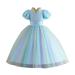 NIUREDLTD Flower Girl Dress Sequin Mesh Puffy Princess Dress Long Evening Dress Children s Dress Wedding Party Princess Dress Pageant Gown For Toddler Grils Sky Blue Size 120