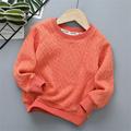 Uuszgmr Sweater For Child Boys Girls Toddler Children Child Baby Boys Girls Solid Round Collar Knitted Thick Sweater Pullover Blouse Top Outfits Clothes Soft Skin Comfortable Wear