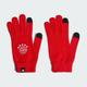 FC Bayern Gloves