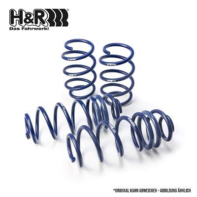 H&r Spezialfedern Fahrwerkssatz, Federn [Hersteller-Nr. 29083-2] für Hyundai, Kia Image
