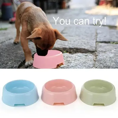 Cat Bowl Large Cat Dog Food Bowl Pets Supplies Pet Feeder For Dogs Cats Feeding Puppy Pet Supplies