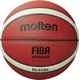 Molten BG4500 BG5000 Series PU Composite Basketball BG4500 BG5000 Size 7 6 5 2- Tone Basketball