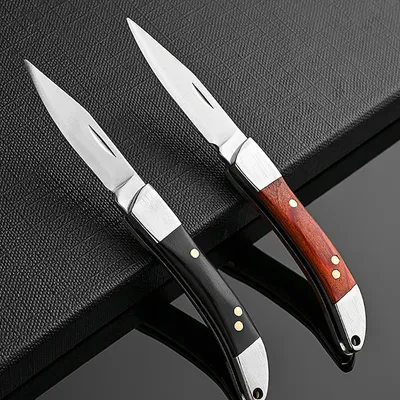 Mini couteau de poche pliant portable couteau à fruits en acier inoxydable manche en bois