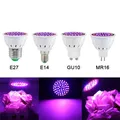 Phyto-Lumière de Croissance Hydroponique LED GU10 Ampoule MR16 Lampe pour Plante 220V pour Semis