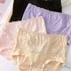 4 Pack Plus Size Sexy Panties Set, Women's Plus Contrast Lace High Waist Breathable Briefs 4pcs Set