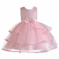 Elainilye Fashion Girls Princess Dress Embroidery Mesh Dress Gauze Dress Formal Dresses for Wedding Party Sizes 2-10Y Pink