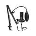 FIFINE Studio Condenser USB Microphone Computer PC Microphone Kit with Adjustable Scissor Arm Stand Shock Mount for Instruments Voice Overs Recording Podcasting YouTube Karaoke Gaming Streaming-T669