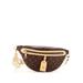 Louis Vuitton Belt Bag: Brown Bags