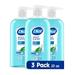 Dial Body Wash Refresh MGF3 & Renew Spring Water 23 fl oz (Pack of 3)