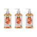 Orange Blossom & Honey MGF3 Liquid Hand Wash by SoF Body Care (Formerly South of France Body Care) | Moisturizing Liquid Hand Soap with Sea Algae | 8 oz Pump Bottle Each | 3 Bottles