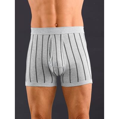 Schlüpfer WÄSCHEPUR, Herren, Gr. 8, grau (hellgrau, gestreift), 75% Baumwolle, 25% Polyester, Unterhosen Image