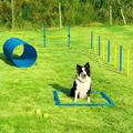 Dog Agility Training Equipment Dog Obstacle Course Includes Dog Jump Hurdle Dog Tunnel Pause Box Weave Poles with 2 Carry Bags Pet Jumping Starter Kit for Jumping Practice
