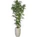 Artificial Faux Real Touch 5.83 Feet Tall Bamboo Tree With Natural Poles And Fiberstone Planter (VHX116234)