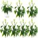 ACMDL 6pcs Artificial Calla Lily Flower Plants Artificial Flowers Plastic Real Touch Calla Lily Artificial Flowers For Wedding Bouquet Outdoor Home Garden Decoration White And Green