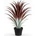 Hyper Realistic Big Red Artificial Aloe Vera Plant 26 Inches Tall. Large Faux Agave in Matte Black Pot.