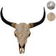 HW - Crâne de décoration taureau 45cm C-T454, polyresin, sculpture, cornes longues, intérieur/plein