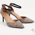 Torrid Shoes | New! 13w [Torrid] Spotted Cheetah 3.5" Heels Pumps -Sexy & Professional | Color: Black/Tan | Size: 13