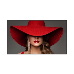 Philips 75BDL4650D Digital Signage Flachbildschirm 190,5 cm (75