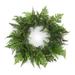 Mixed Fern Grapevine Wreath 24"D by Melrose in Green