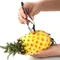 Edelstahl Erdbeer Huller Obsts chäler Ananas Corer Slicer Cutter Küchenmesser Gadgets Ananas Slicer