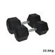 Urban Fitness Pro Hex Dumbbell Rubber Coated (Pair) - Black / 2X22.5KG