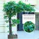 Artificial Green Banyan Trees, Ficus Tree Artificial, Faux Ficus Tree, Artificial Ficus Tree, Simulation Banyan Tree Ficus Tree, Wishing Tree, Artificial Tree For Ho 2x2m/6.6x6.6ft QIByING