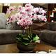 Artificial Flower Set, Artificial Orchid Flowers with Vase Large Fake Plant with Pot Phalaenopsis Bonsai for Living Room Centerpieces Arrangements Decoration Beautiful Artificial Flowers and (C )