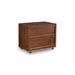 Hokku Designs Marquisia 2 - Drawer Solid Wood Nightstand Wood in Brown | 19.63 H x 23.62 W x 15.75 D in | Wayfair 68AF31B1D3CF4A4FBA5D7486EE70A31D