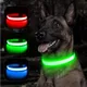 Collier de chien lumineux LED réglable clignotant aste collier Shoous anti-perte de nuit