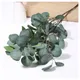 Branche d'Eucalyptus Artificielle Simulation de Cuir oral elu Plante Verte InjFake Feuilles de