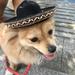 Dog Sombrero Hat Mini Sombrero Hats Mexican Hats Sombrero Party Head Set Brown Lace Hats for Small Pets/Puppy/Cat