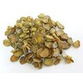 Yan Hu SUO Chinese Herb | Corydalis Rhizome Tuber | Chinese Herb 1 Lb. - Plum Dragon Herb