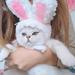 Hat Cute Bunny Hat with Ears Costume Wear-resistant Cat Pet Hat Puppy Cashmere Suitable for Party Cosplay