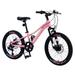 Arnahaishe 20 Inch Mountain Bike for Kids Ages 5-12 Years Old 7 Speed Shimano Drivetrain Disc Brakes Mountain Bycicle for Girls and Boys Pink
