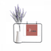 China Sports Basketball Jump Artificial Lavender Flower Vase Bottle Card