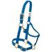 Weaver Leather 35-7036-BL 1 in. Large Adjustable Chin & Throat Snap Halter - Blue