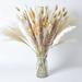 100Pieces Dried Pampas Grass Dry Flowers Dried Flower Bouquet Dried Eucalyptus Pampas Grass Decor Tall Pampas White Pampas Grass- 17 inches