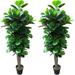 FANGL Pack of Two (2) Gorgeous & Dense 6 Fiddle Leaf Fig Tree Artificial Silk Plant with UV Protection with Nursery Plastic Pot Feel Real Technology Super Quality 6 Feet Each Green