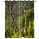 buyluhn Giraffe Blackout Curtains for Bedroom Living Room Green Eyelet Curtains 55 Width X 86 Inch Drop Patterned Thermal Window Treatments Soundproof Kitchen Curtains