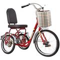 NOALED Adult Trike, Tricycle for Adult 3 Wheel Bikes, Tricycle for Adult 3 Wheel Bicycle, Three Wheels Cycling Pedal Trikes with Cart, Senior Bicycles Trikes Women Men for Recreation, Shopping