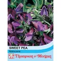 Thompson & Morgan Sweet Pea Matucana 1 Seed Packet (20 Seeds)