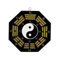 NOURIS Chinese ornaments,outdoor mirror,Chinese feng shui ornaments,Chinese Feng Shui Peach Wood Bagua Mirror for Family Protection FengShui Mirror Taoist Talisman Energy for Home Dec