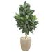 4' Zebra Artificial Plant in Sand Colored Planter - h: 4 ft. w: 22 in. d: 17 in